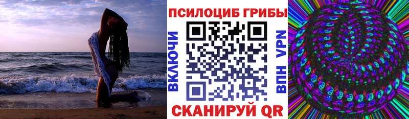 Псилоцибиновые грибы Magic Shrooms  купить наркоту  Нариманов 